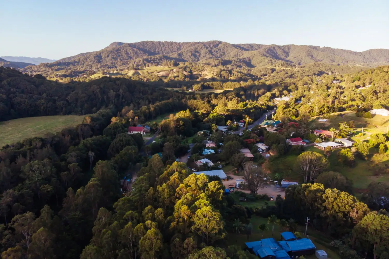 The growing desire for a tree change