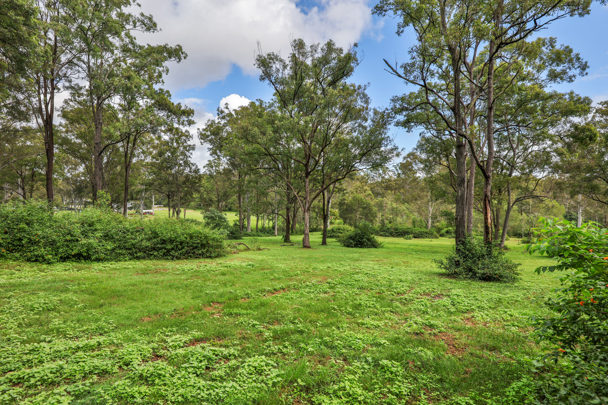 320 Miller Road, LOGAN VILLAGE QLD 4207 | Harcourts Property Centre